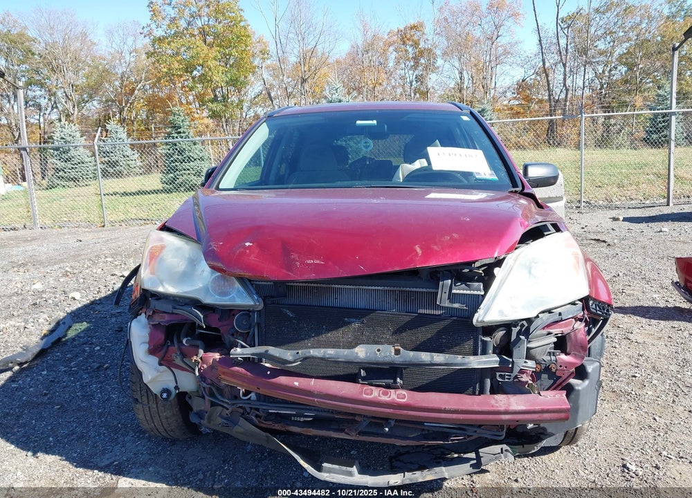 2010 HONDA CR-V EX VIN: 5J6RE4H59AL014490