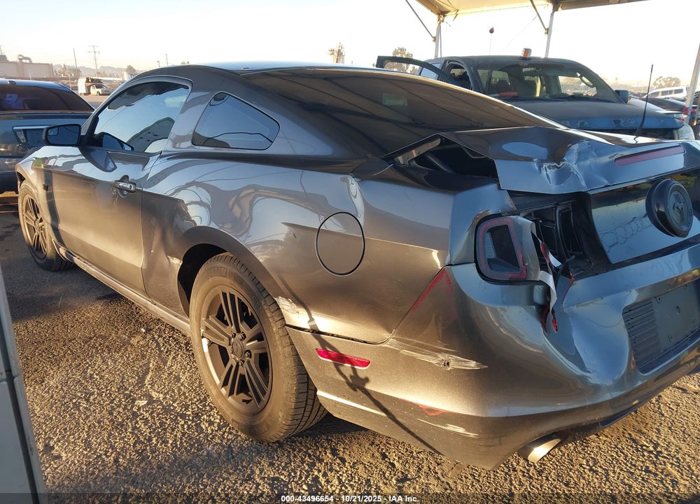 2014 FORD MUSTANG VIN: 1ZVBP8AMXE5333317
