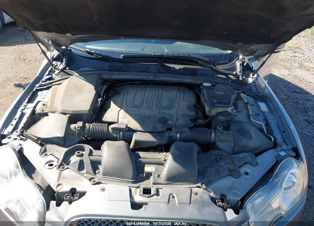 2010 JAGUAR XF PREMIUM VIN: SAJWA0GB6ALR61623