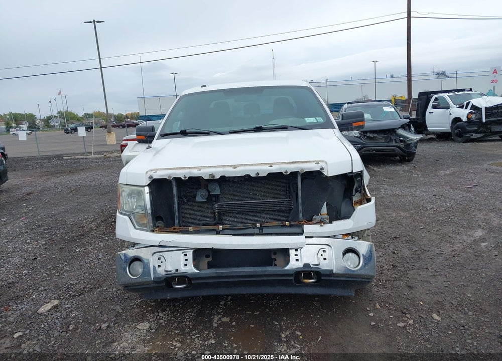 2011 FORD F-150 XLT VIN: 1FTFW1EF3BFC61697