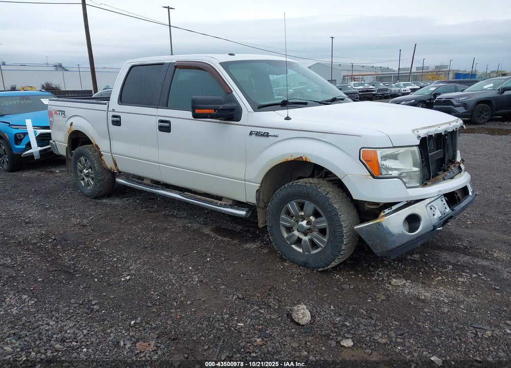 2011 FORD F-150 XLT VIN: 1FTFW1EF3BFC61697