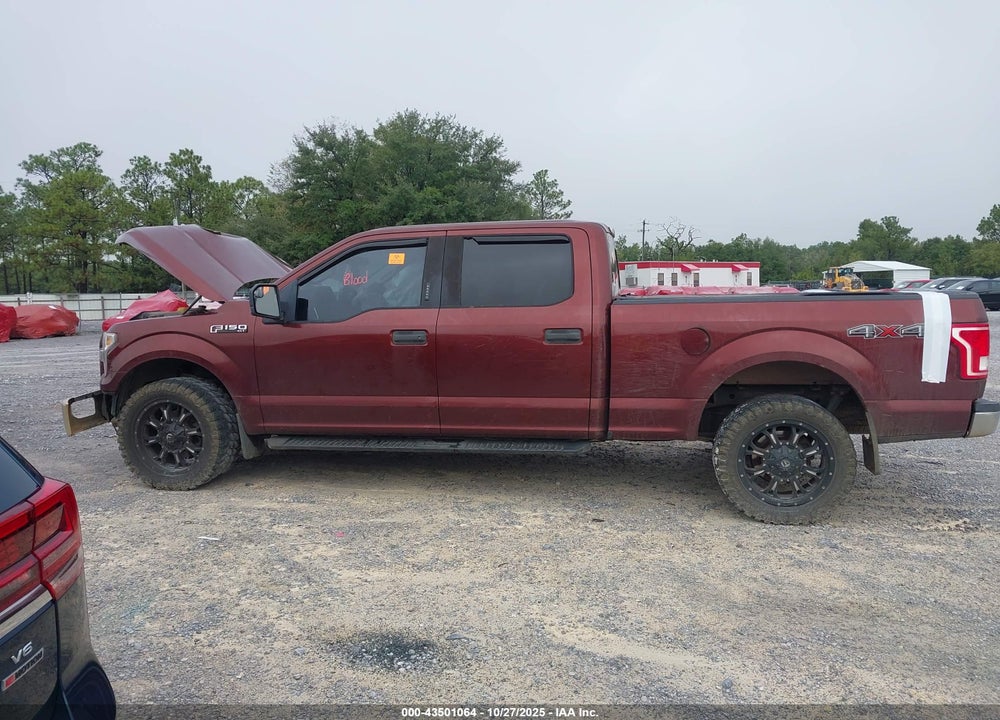 2015 FORD F-150 XLT VIN: 1FTFW1EF9FKD22466