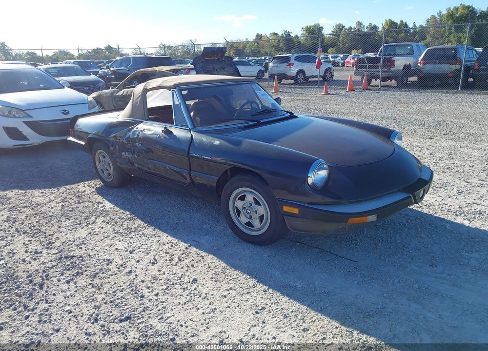 1984 ALFA ROMEO VELOCE 2000 SPIDER VIN: ZARBA5414E1020331
