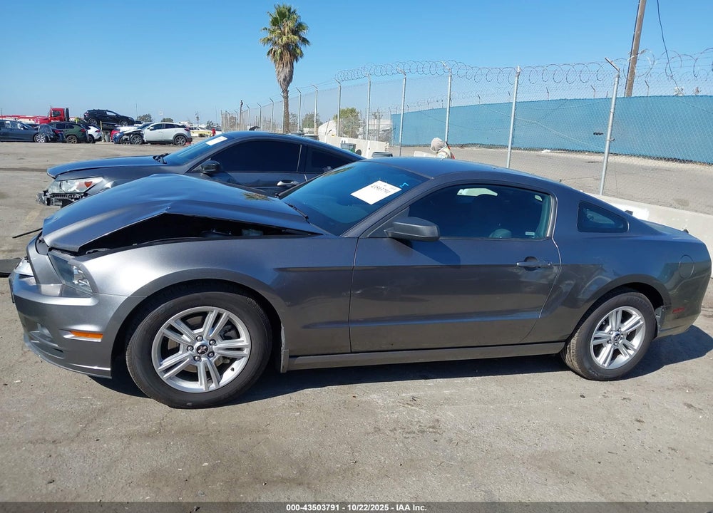 2014 FORD MUSTANG VIN: 1ZVBP8AM6E5245459