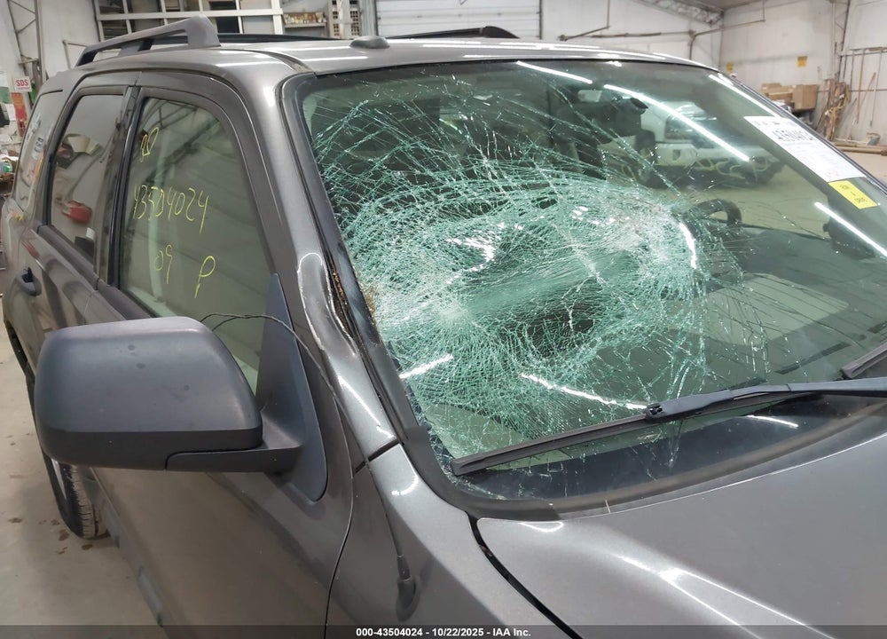 2009 FORD ESCAPE VIN: 1FMCU037X9KC20852