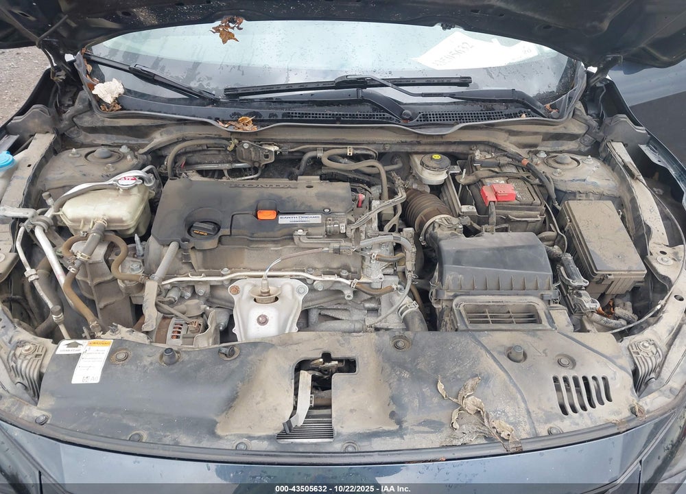2019 HONDA CIVIC LX VIN: 2HGFC2F66KH533561