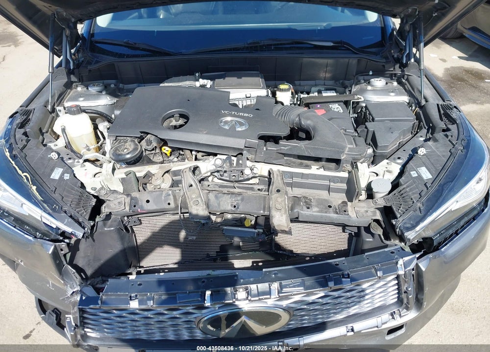 2019 INFINITI QX50 ESSENTIAL VIN: 3PCAJ5M19KF101706