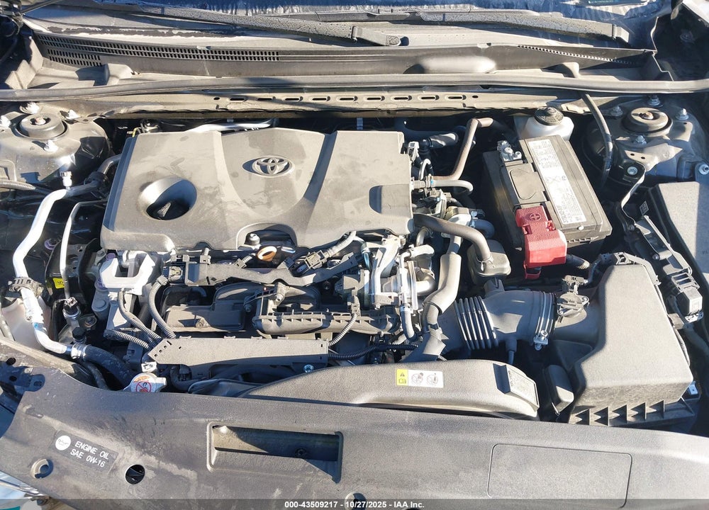 2019 TOYOTA CAMRY LE VIN: 4T1B11HK5KU843023
