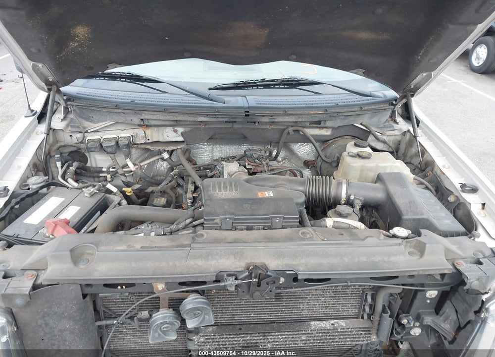 2009 FORD F-150 VIN: 1FTRX14W39FA24679