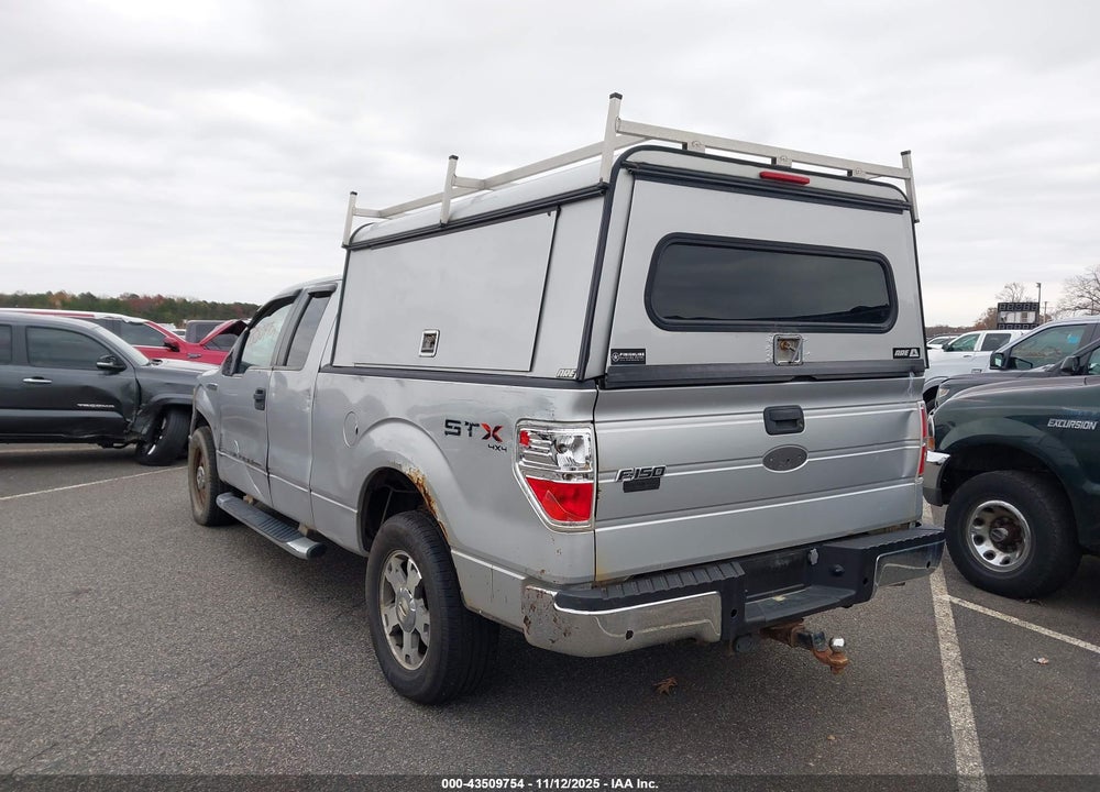 2009 FORD F-150 VIN: 1FTRX14W39FA24679