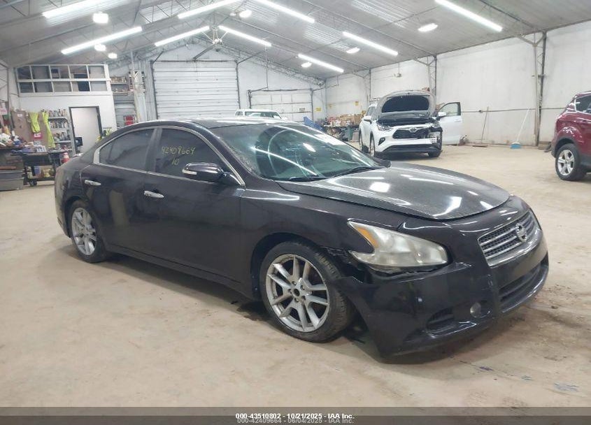 2010 NISSAN MAXIMA VIN: 1N4AA5AP4AC835468
