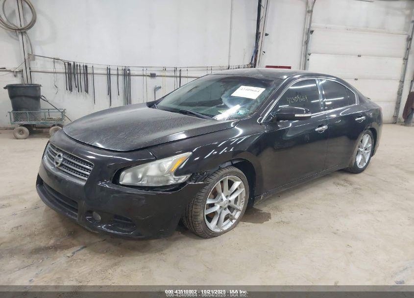 2010 NISSAN MAXIMA VIN: 1N4AA5AP4AC835468