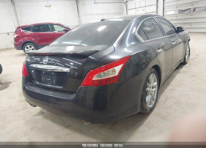 2010 NISSAN MAXIMA VIN: 1N4AA5AP4AC835468
