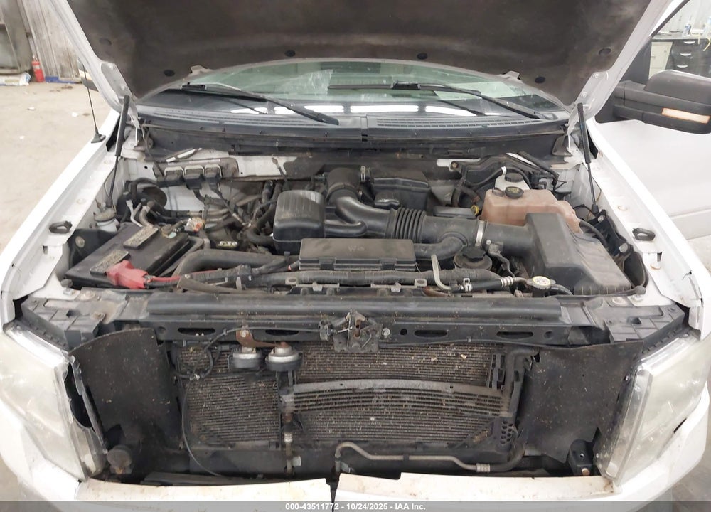 2010 FORD F-150 VIN: 1FTFW1EV7AFC72045