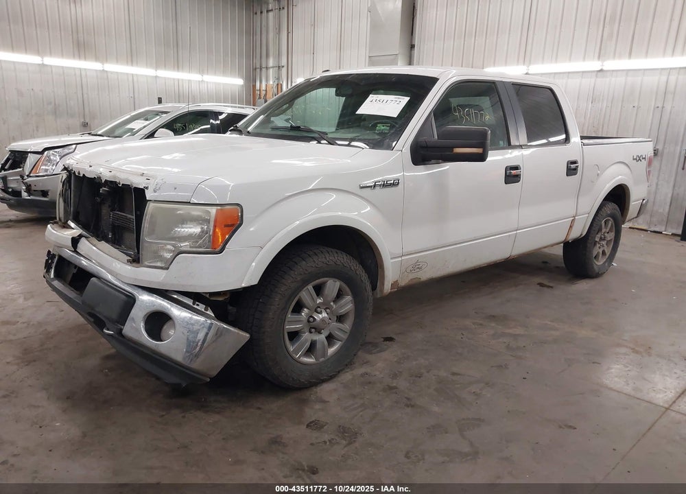 2010 FORD F-150 VIN: 1FTFW1EV7AFC72045