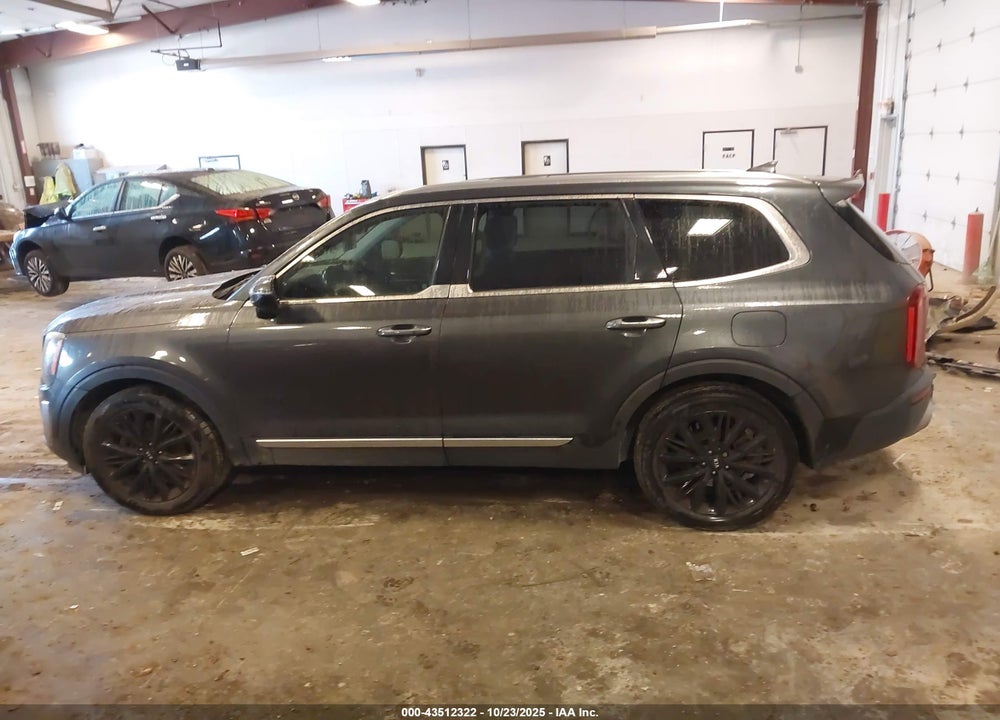 2020 KIA TELLURIDE VIN: 5XYP5DHC9LG023653