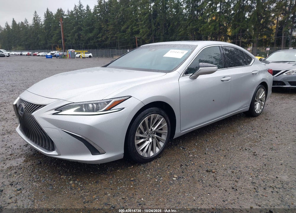 2019 LEXUS ES 300H LUXURY VIN: JTHB21B13K2027326