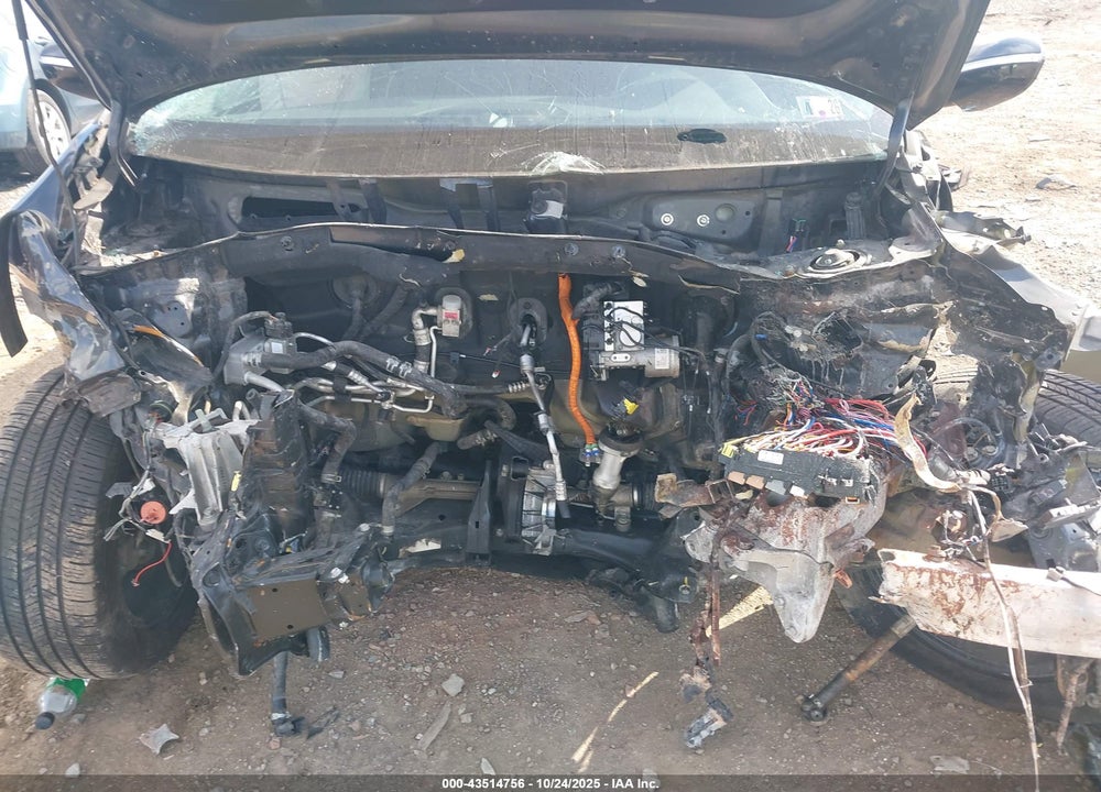 2019 KIA NIRO EV EX VIN: KNDCC3LG2K5022702