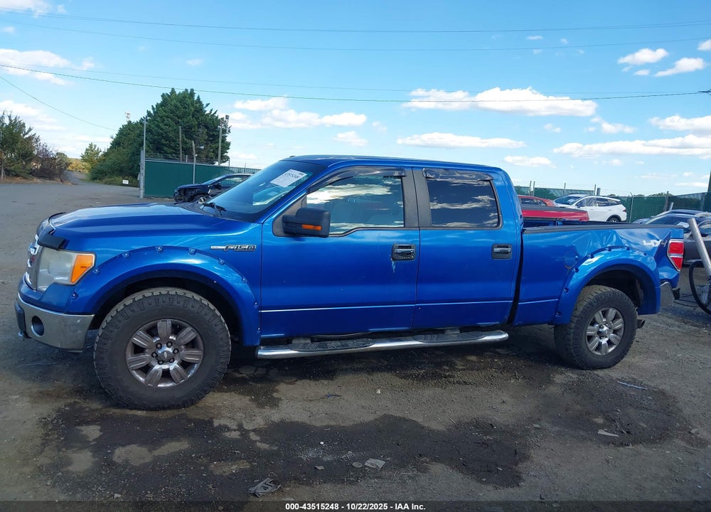 2009 FORD F-150 VIN: 1FTPW14V19FA16758