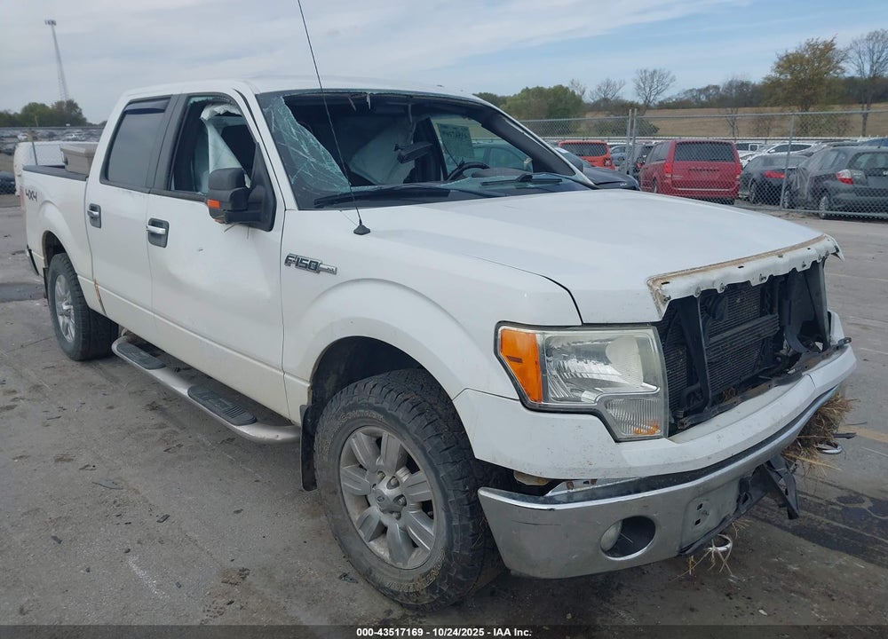 2011 FORD F-150 XLT VIN: 1FTFW1EFXBFB69504
