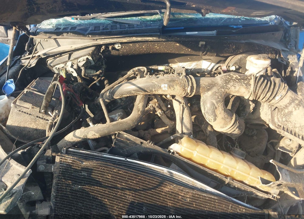 2019 FORD F-150 XL VIN: 1FTEW1CP7KFD27708
