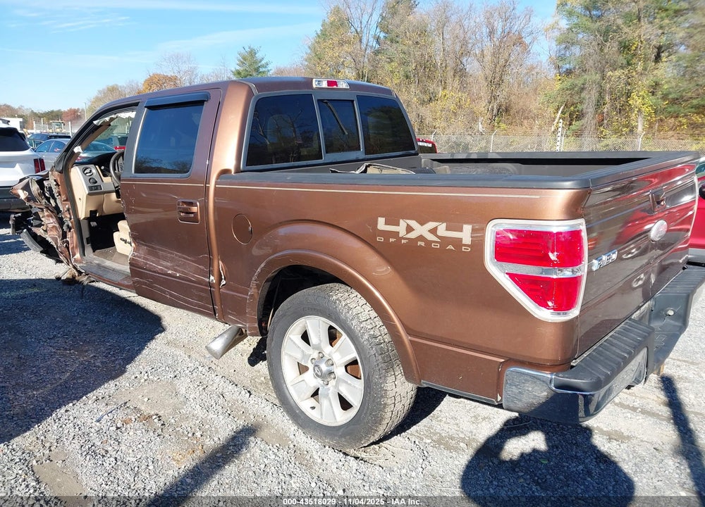 2011 FORD F-150 VIN: 1FTFW1EF8BFC18134