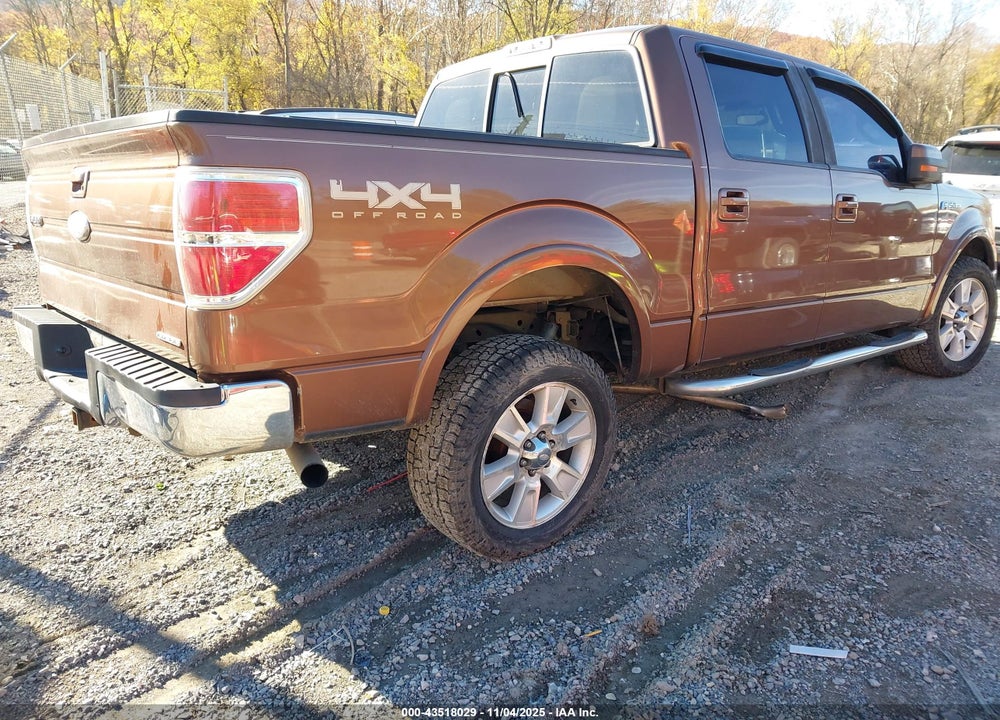 2011 FORD F-150 VIN: 1FTFW1EF8BFC18134