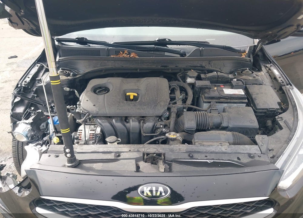2019 KIA FORTE LXS VIN: 3KPF24ADXKE135655