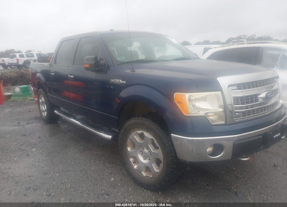 2013 FORD F-150 XLT VIN: 1FTFW1EF3DFA10360