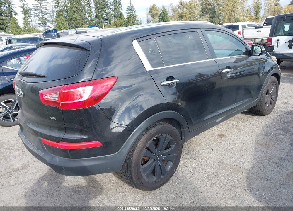 2011 KIA SPORTAGE EX VIN: KNDPC3A28B7034141