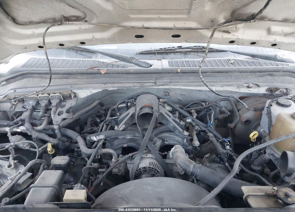 2008 FORD F-250 XL VIN: 1FTSW21518ED97116