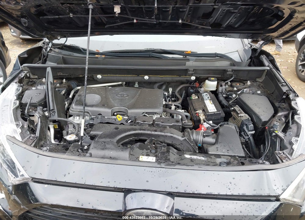 2019 TOYOTA RAV4 VIN: JTMK1RFV0KJ006388
