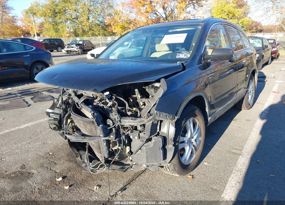 2010 HONDA CR-V EX VIN: 5J6RE4H55AL003194