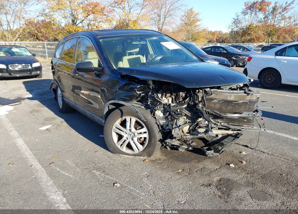 2010 HONDA CR-V EX VIN: 5J6RE4H55AL003194