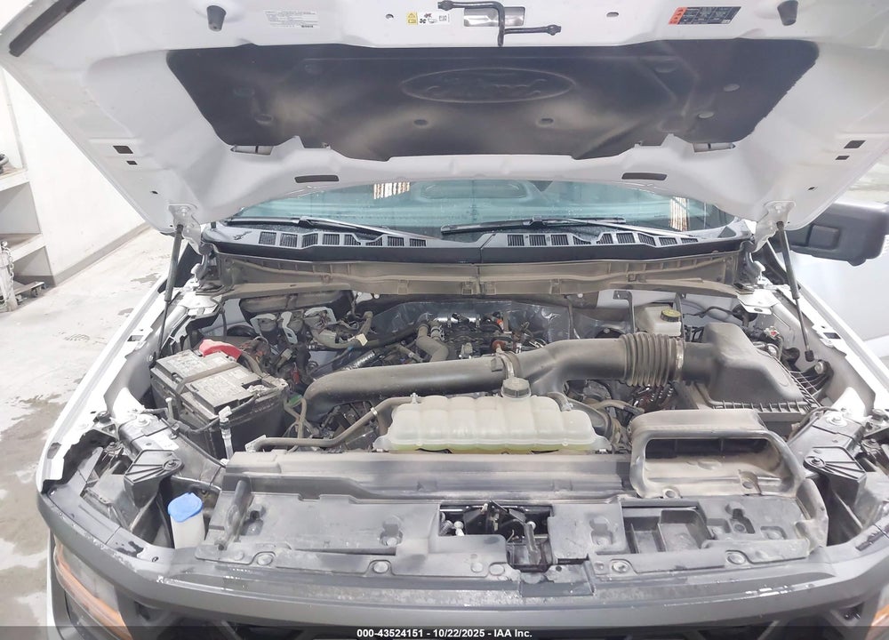 2025 FORD F-150 TREMOR VIN: 1FTFW4L80SFA96178