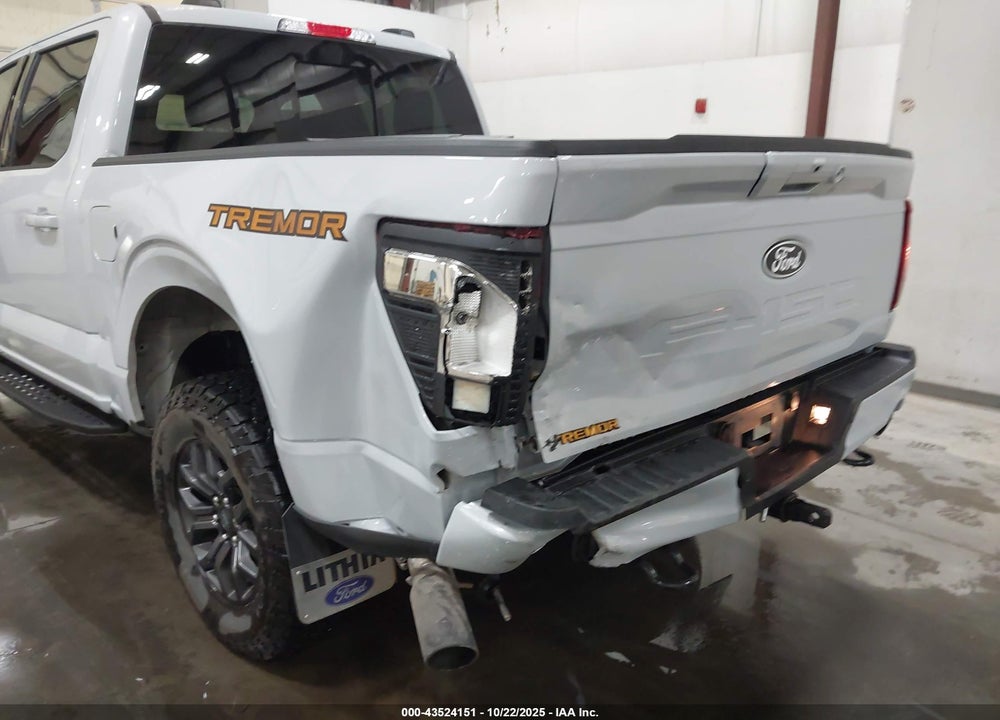 2025 FORD F-150 TREMOR VIN: 1FTFW4L80SFA96178