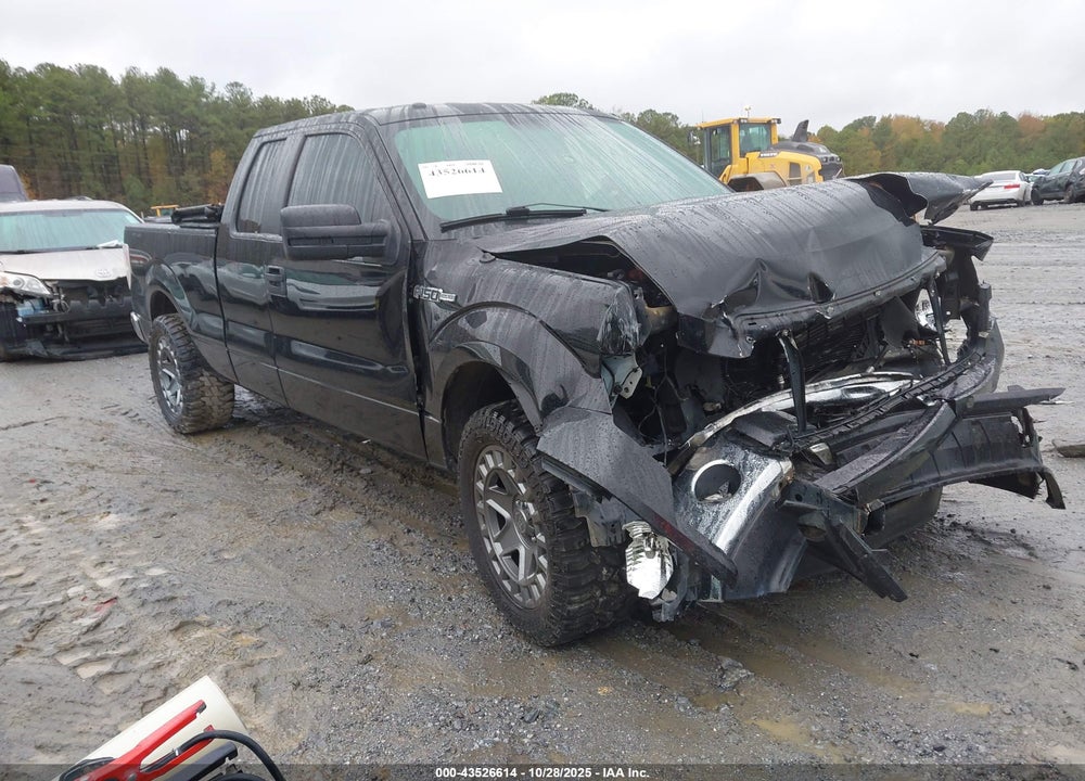 2014 FORD F-150 XLT VIN: 1FTFX1CF1EFA46498
