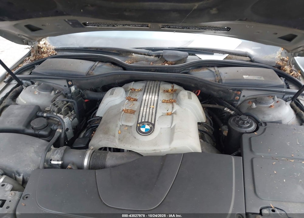 2002 BMW 745LI VIN: WBAGN63412DR02392