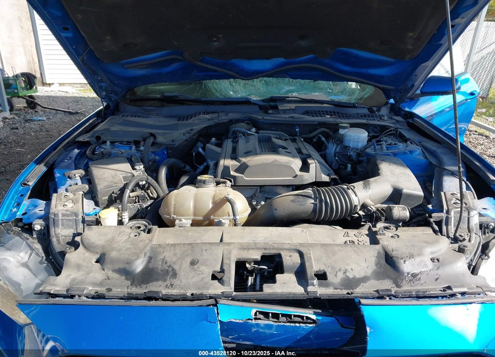 2019 FORD MUSTANG ECOBOOST PREMIUM VIN: 1FA6P8TH3K5182469