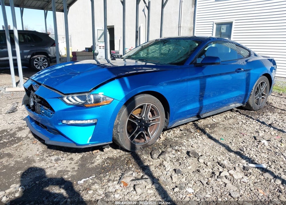 2019 FORD MUSTANG ECOBOOST PREMIUM VIN: 1FA6P8TH3K5182469