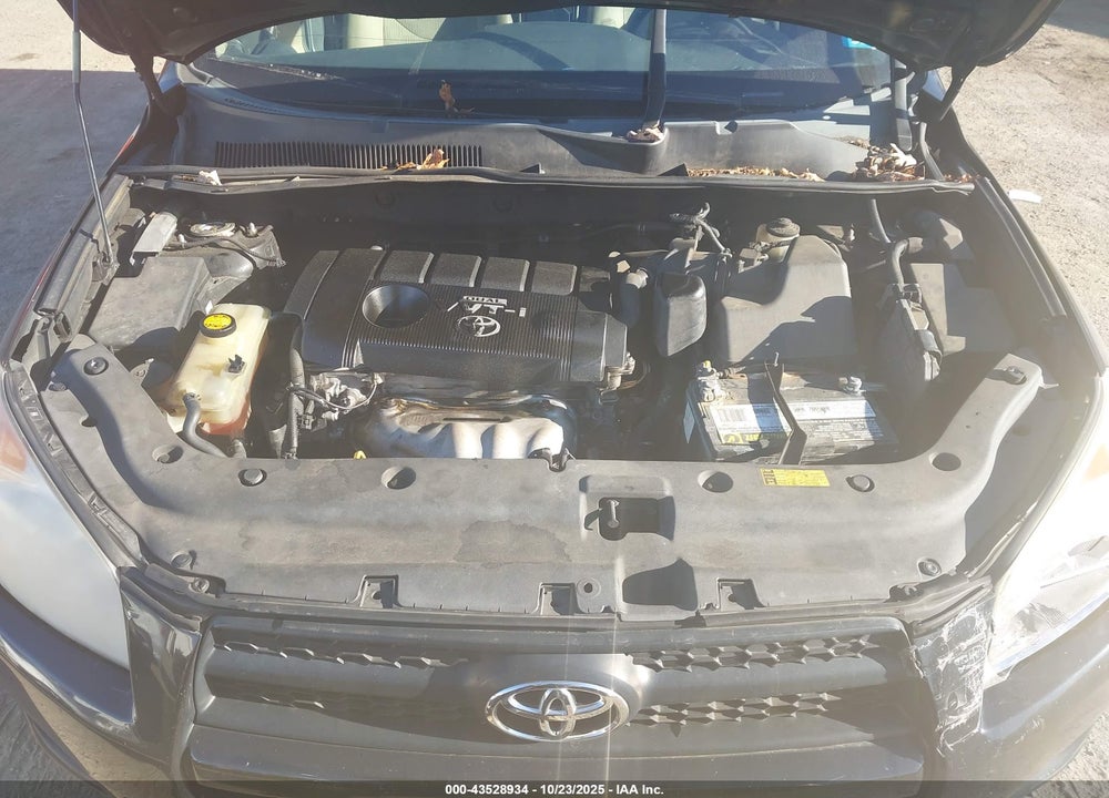 2010 TOYOTA RAV4 VIN: 2T3ZF4DV3AW023661