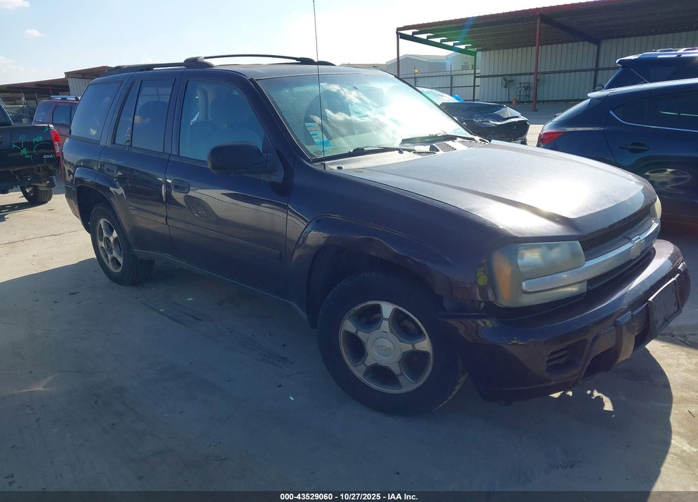 2008 CHEVROLET TRAILBLAZER FLEET VIN: 1GNDS13S782173049