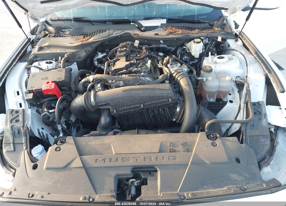 2024 FORD MUSTANG ECOBOOST FASTBACK VIN: 1FA6P8TH0R5105570