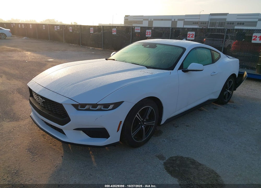 2024 FORD MUSTANG ECOBOOST FASTBACK VIN: 1FA6P8TH0R5105570