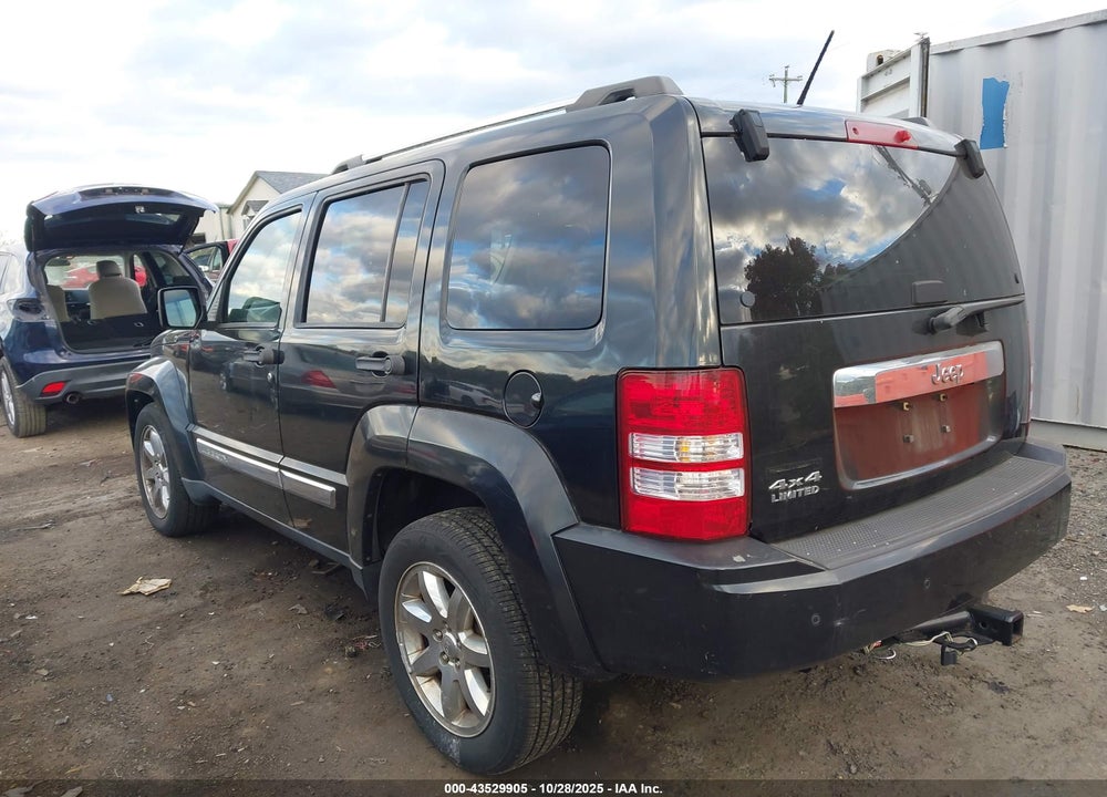 2010 JEEP LIBERTY VIN: 1J4PN5GK1AW113064