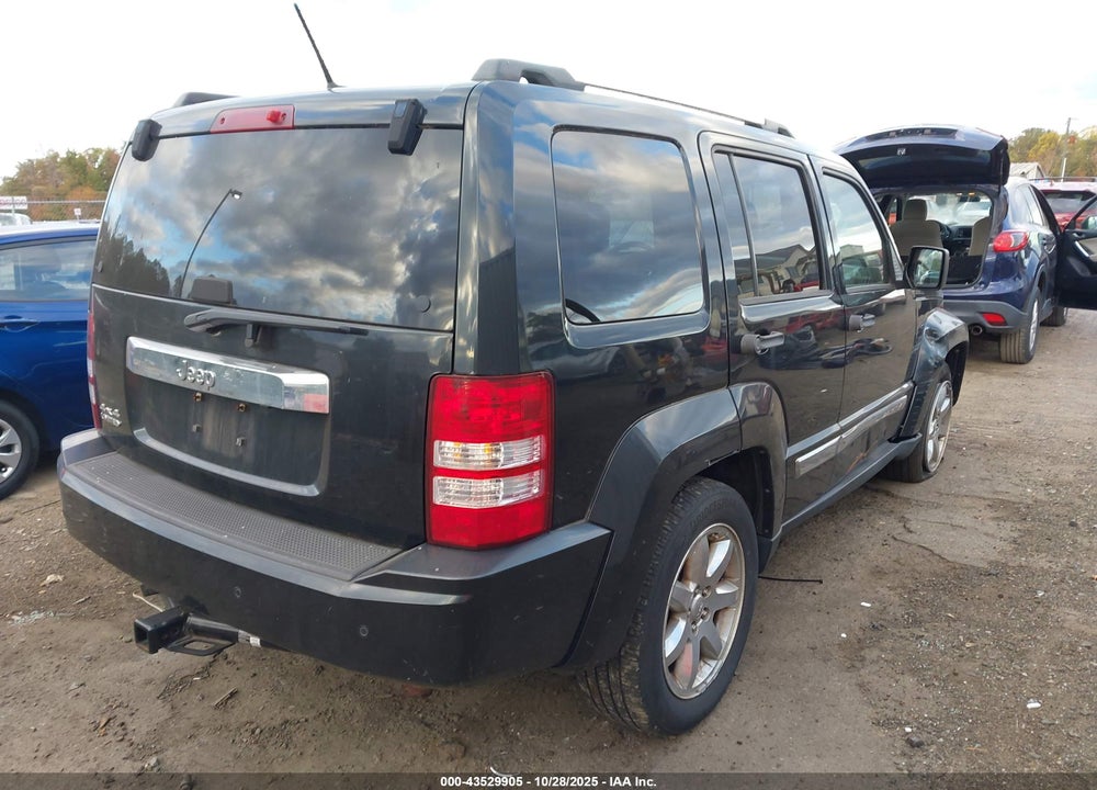2010 JEEP LIBERTY VIN: 1J4PN5GK1AW113064