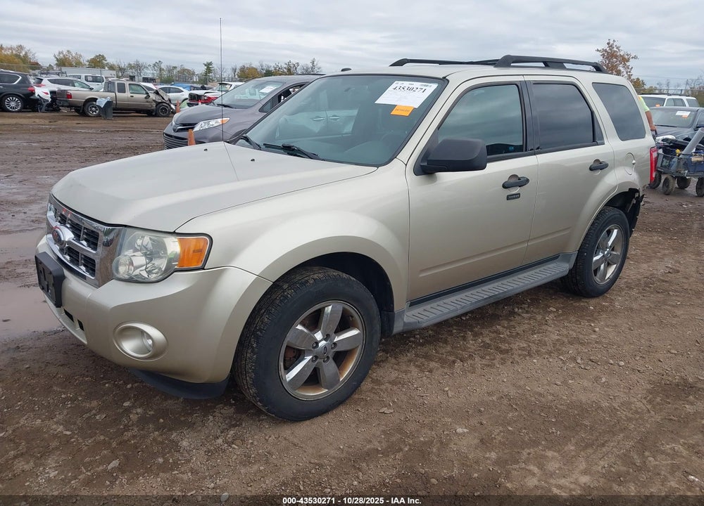 2010 FORD ESCAPE VIN: 1FMCU0D71AKA44826