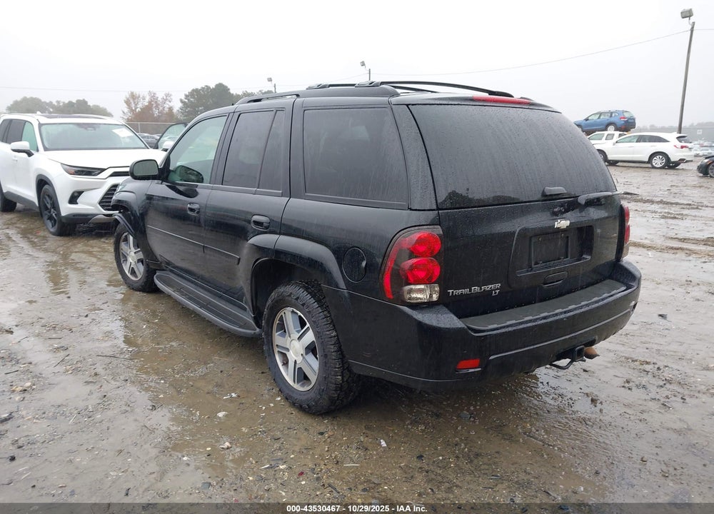 2008 CHEVROLET TRAILBLAZER VIN: 1GNDS13S082124226