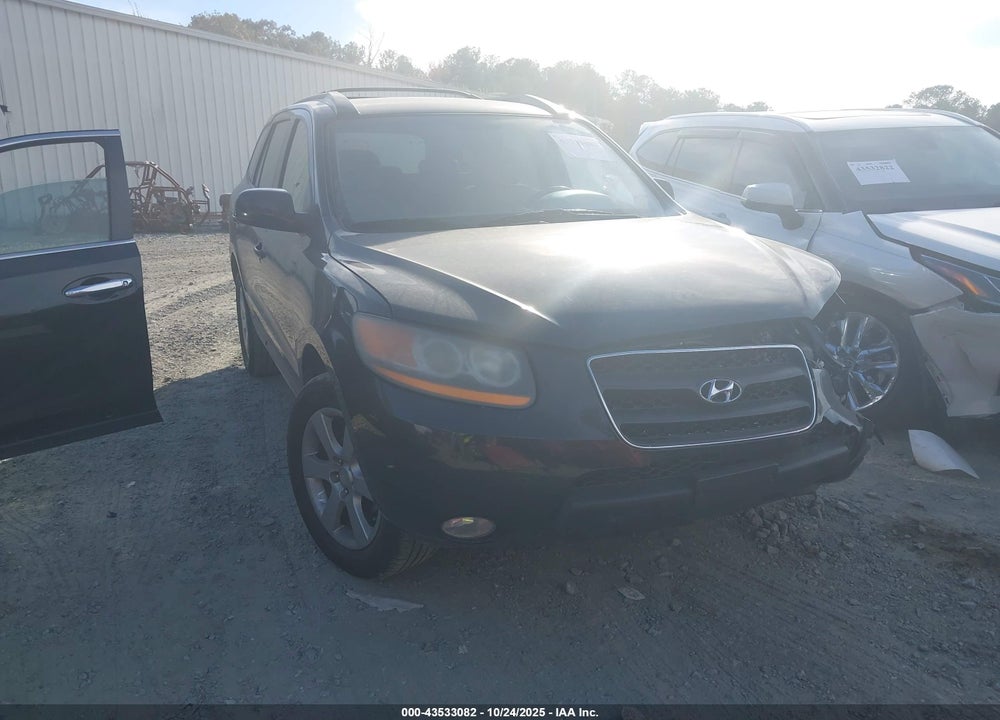 2009 HYUNDAI SANTA FE SE VIN: 5NMSH13E29H257124