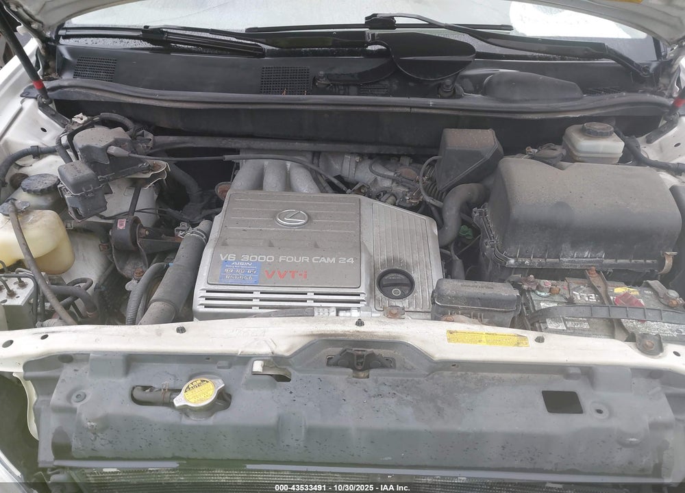 2003 LEXUS RX 300 VIN: JTJHF10U730308987